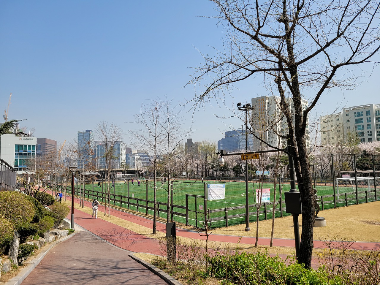 劉易斯建議