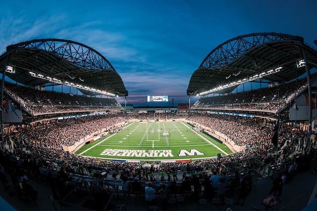 以及角色球 以及角色球