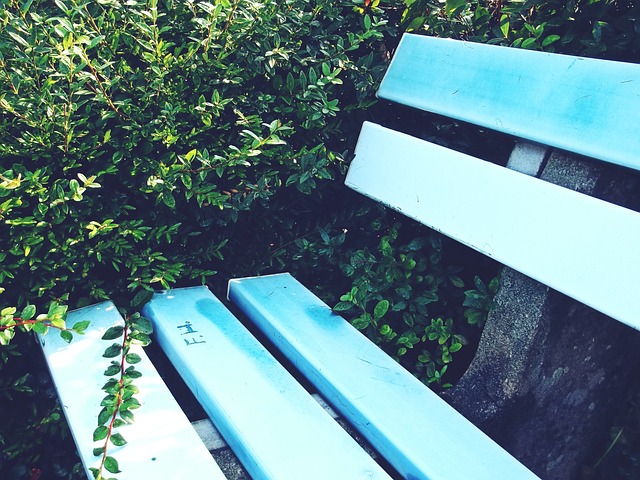 体育与美食双轮驱动 激发消费新活力——从“乐享精彩赛事 寻味中华美食”活动看消费升级新路径.