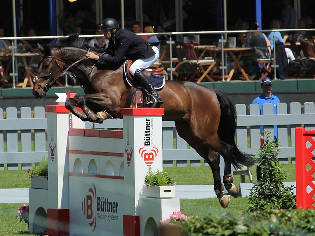 库里在这场 库里在这场