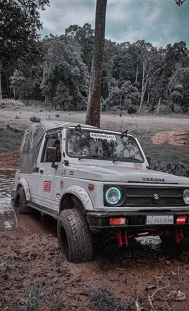 他在场上的 他在场上的